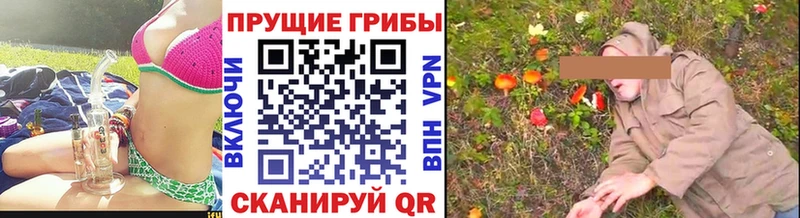 Псилоцибиновые грибы GOLDEN TEACHER где купить Углегорск